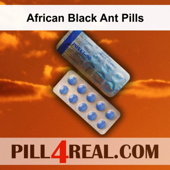 African Black Ant Pills 355