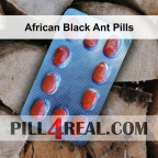 African Black Ant Pills 436