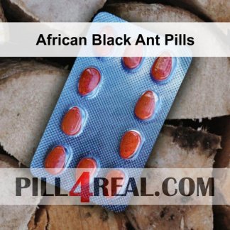 African Black Ant Pills 436