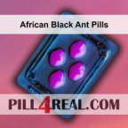 African Black Ant Pills 467