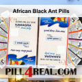 African Black Ant Pills 476
