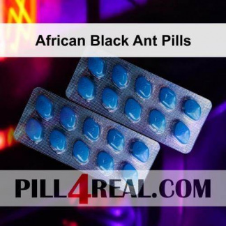 African Black Ant Pills 487