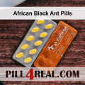 African Black Ant Pills 493