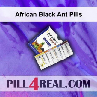 African Black Ant Pills 520