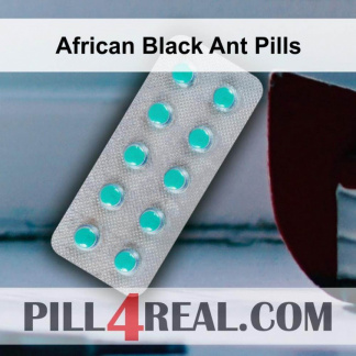 African Black Ant Pills 546