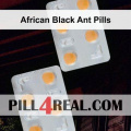 African Black Ant Pills 605