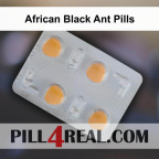 African Black Ant Pills 621