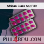 African Black Ant Pills 627
