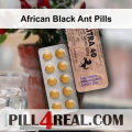 African Black Ant Pills 632