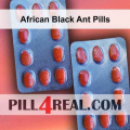 African Black Ant Pills 670