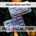 African Black Ant Pills 747