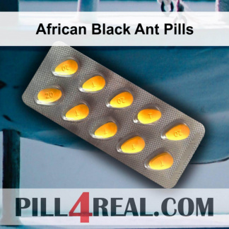 African Black Ant Pills 757