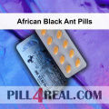 African Black Ant Pills 787