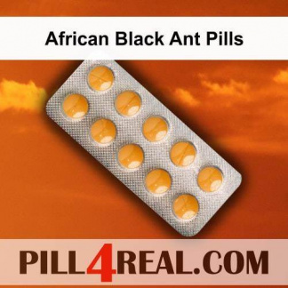 African Black Ant Pills 816