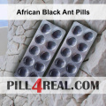African Black Ant Pills 818