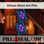 African Black Ant Pills 826