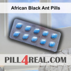 African Black Ant Pills 905