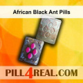 African Black Ant Pills 907
