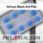 African Black Ant Pills 939