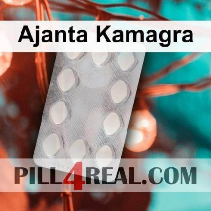 Ajanta Kamagra 170
