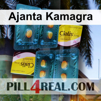 Ajanta Kamagra 172