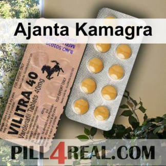 Ajanta Kamagra 228