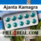 Ajanta Kamagra 338