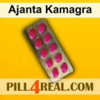Ajanta Kamagra 355