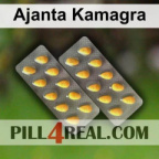 Ajanta Kamagra 732