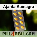 Ajanta Kamagra 790