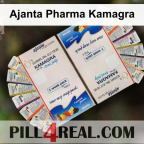 Ajanta Pharma Kamagra 113