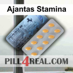 Ajantas Stamina 804