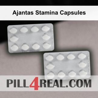 Ajantas Stamina Capsules 480