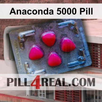 Anaconda 5000 Pill 618