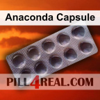 Anaconda Capsule 177