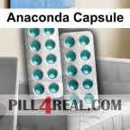 Anaconda Capsule 213