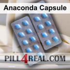 Anaconda Capsule 270