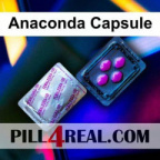 Anaconda Capsule 274