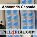Anaconda Capsule 292