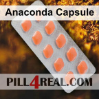 Anaconda Capsule 405