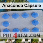 Anaconda Capsule 509