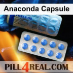 Anaconda Capsule 515