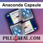Anaconda Capsule 536