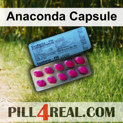 Anaconda Capsule 541