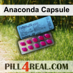 Anaconda Capsule 541