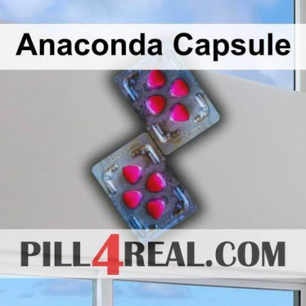 Anaconda Capsule 547