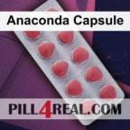 Anaconda Capsule 634