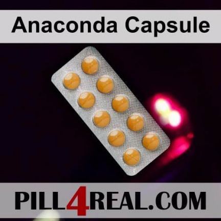 Anaconda Capsule 678