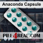 Anaconda Capsule 694