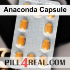 Anaconda Capsule 732